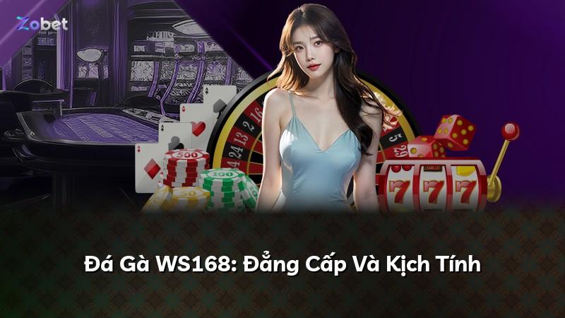 Đá Gà WS168: Đẳng Cấp Và Kịch Tính