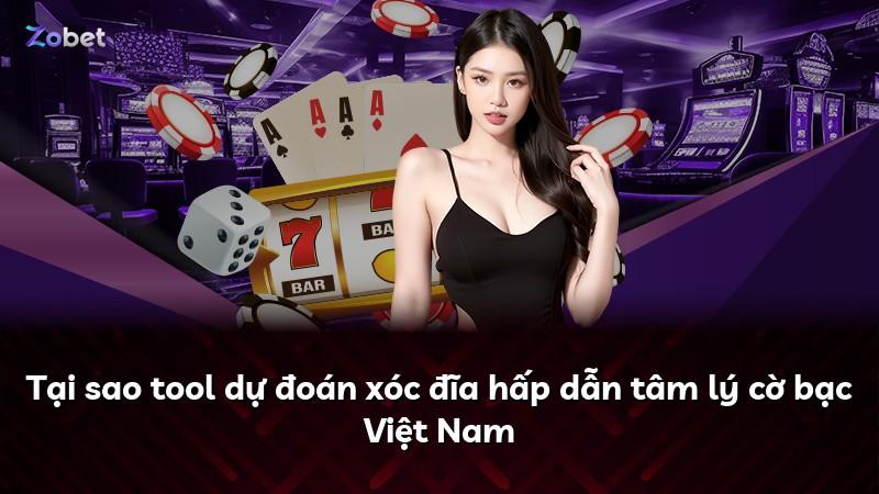 Tại sao tool dự đoán xóc đĩa hấp dẫn tâm lý cờ bạc Việt Nam